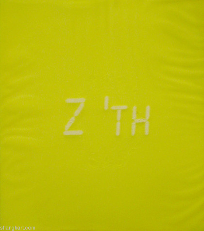 Zhou Tiehai: An Other History