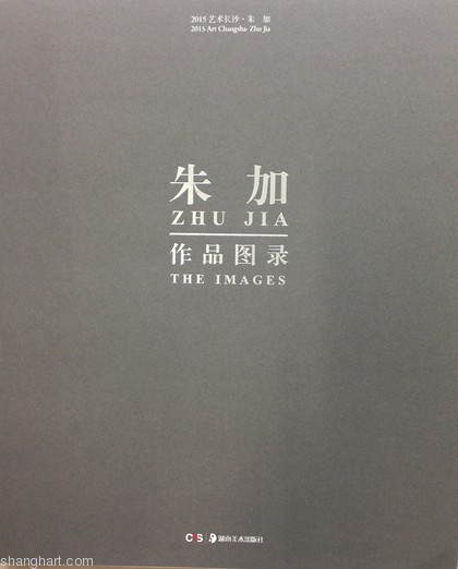 2015 Art Changsha: Zhu Jia