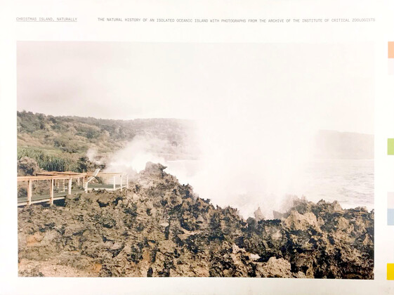 Christmas Island, Naturally