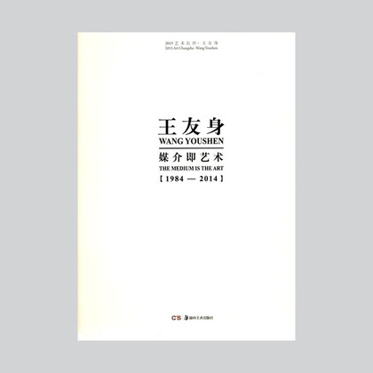 2015 Art Changsha: Wang YouShen/The Medium is The Art