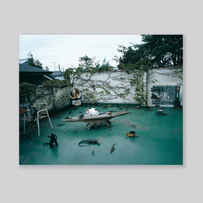 Poster / Araki's World: Solo Exhibition of Nobuyoshi Araki 2