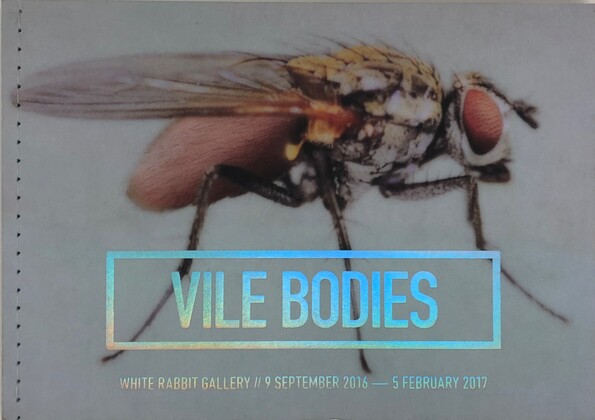 Vile Bodies - White Rabbit Gallery