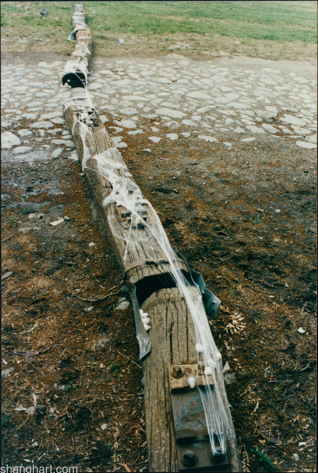越 Cross, 2002