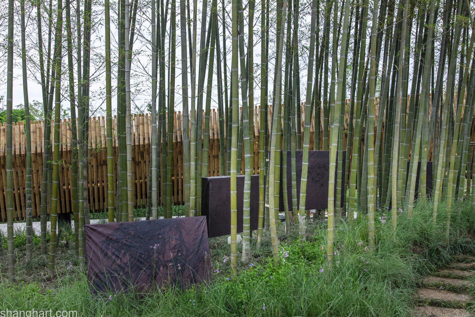刘毅《归隐》 摄影：JJYPHOTO，惠允：展览《竹子作为方法》