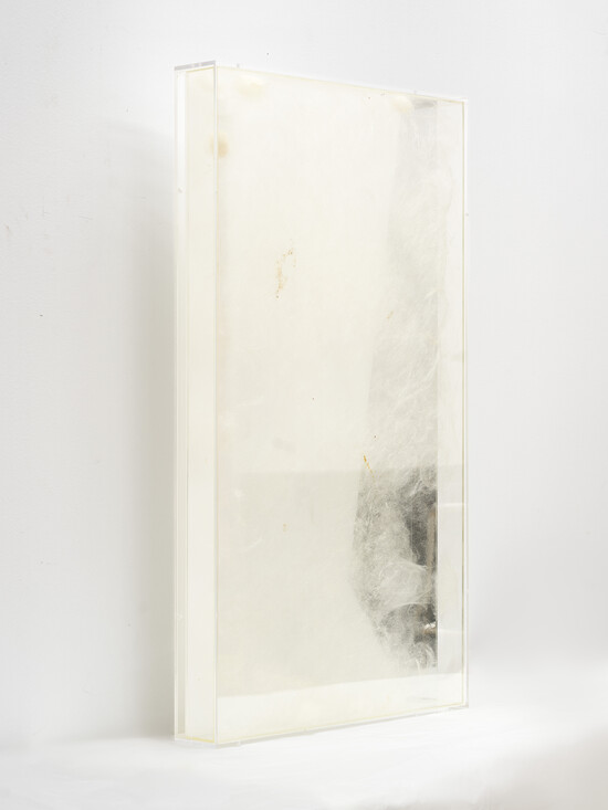 LSJ_4191