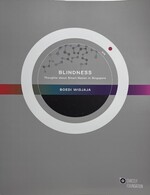 Boedi Widjaja: Blindness