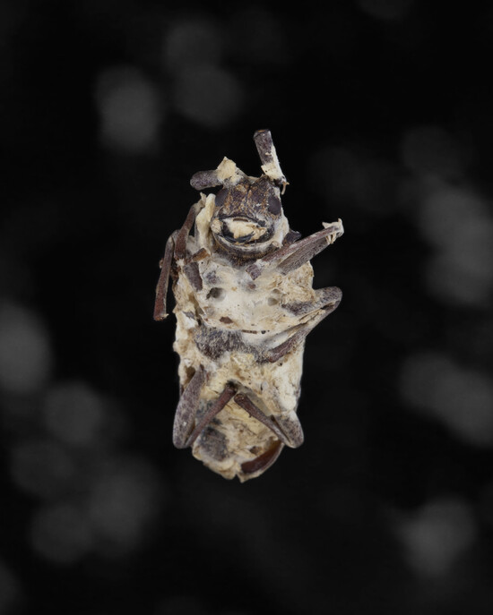 WYYI_0697
