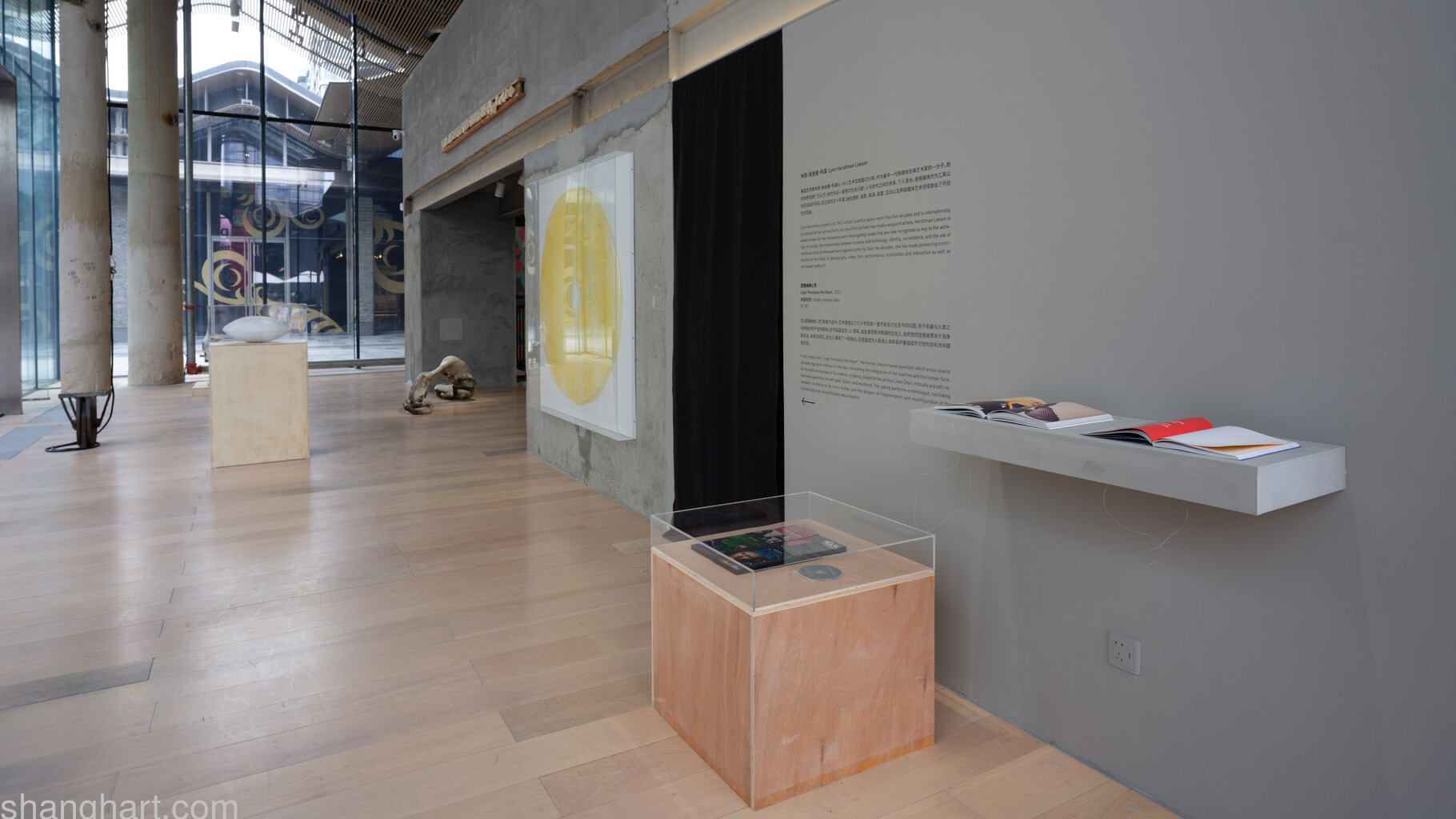 Lynn Hershman Leeson, Liang Shaoji
