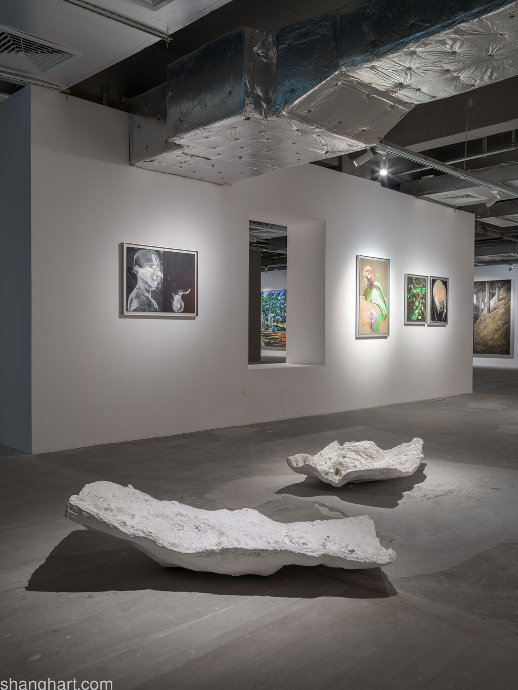 Su Chang，Wang Xin