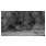 Still image