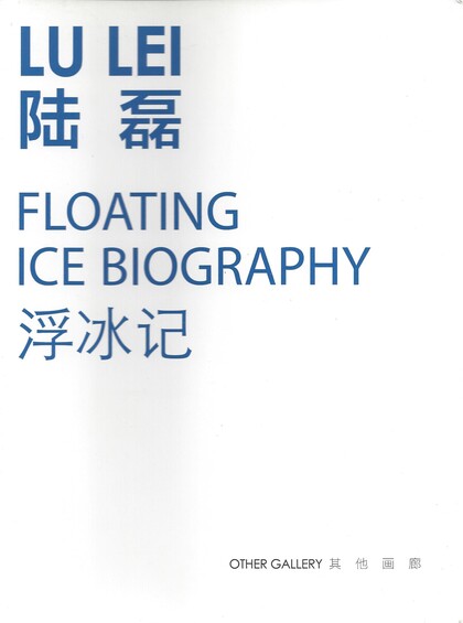 LU Lei: Floating Ice Biography